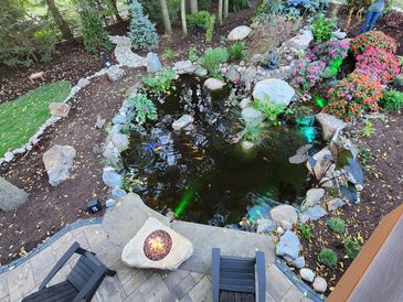 Natural Ecosystem Koi Pond, Designed, installed, maintenance offered