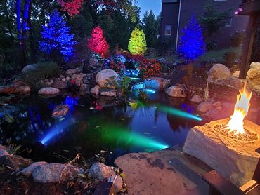 add lighting to your backyard pond to enjoy day and night