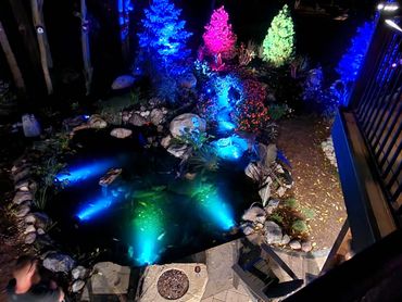 Enhance your koi pond with lighting to enjoy in the evenings.