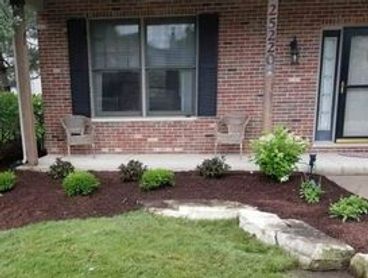 plants and mulch