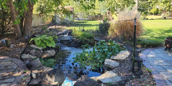 Fall leaves make a mess, net your pond to keep your water clean and your fish happy