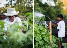 I.T. and Lodemia Terrell Community Garden and Educational Center