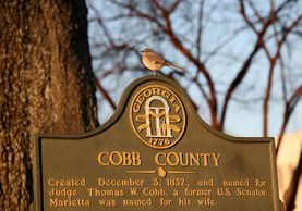 Cobb County, Georgia