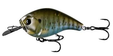 13 Fishing Jabber Jaw Deep Hybrid Squarebill Black Back Shad