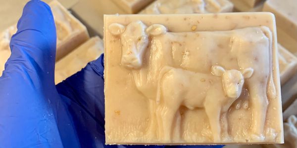 Custom cow and calf  Goats Milk Soap in Oatmeal Honey