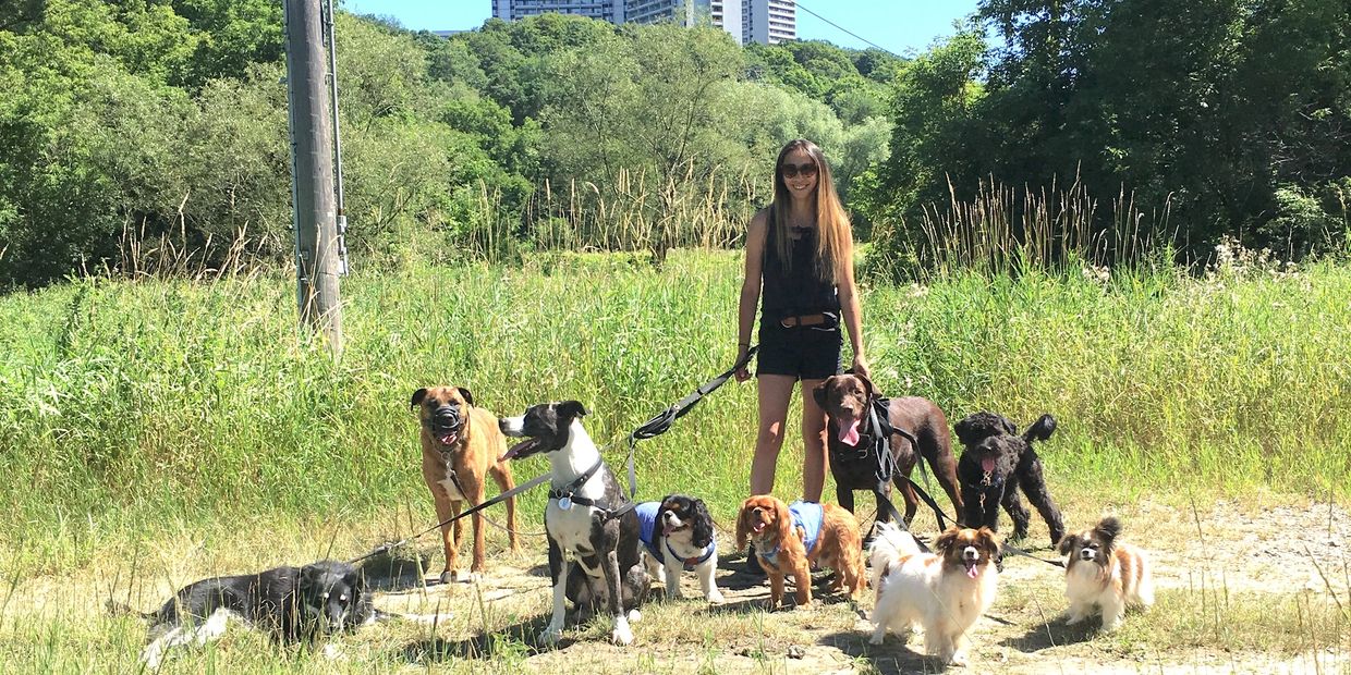 A Dog's Ruff Dog Walking, Dog Daycare, Dog Boarding