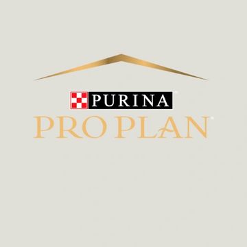 Purina Pro Plan has wet dog food diets that cater to dogs who are puppies, adults, and seniors