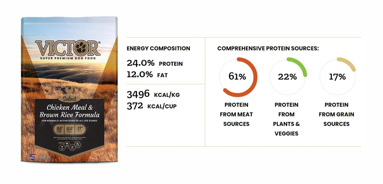 Victor Dog Food Review - Which Victor Blend is Best For Your Dog?