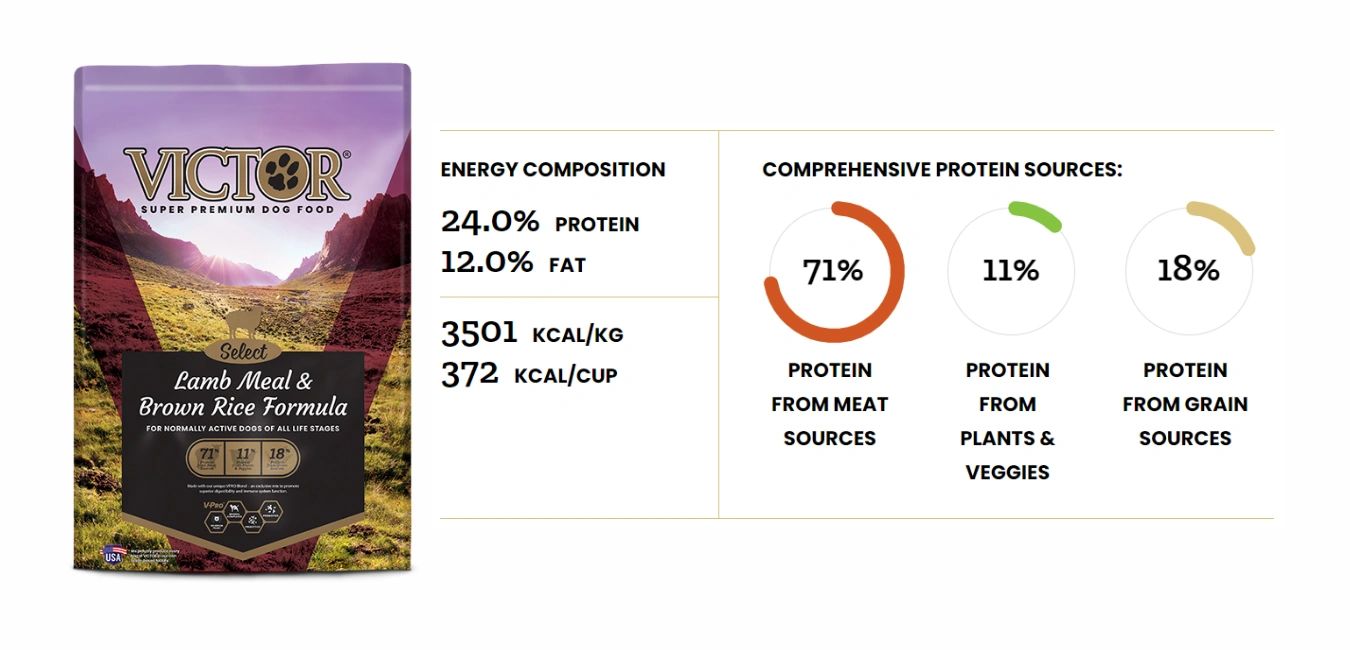 which victor dog food is best for weight gain