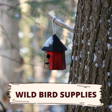Pet Stuff has Suet Cakes, suet plugs, wild bird feeders, freeze-dried mealworms, and more!