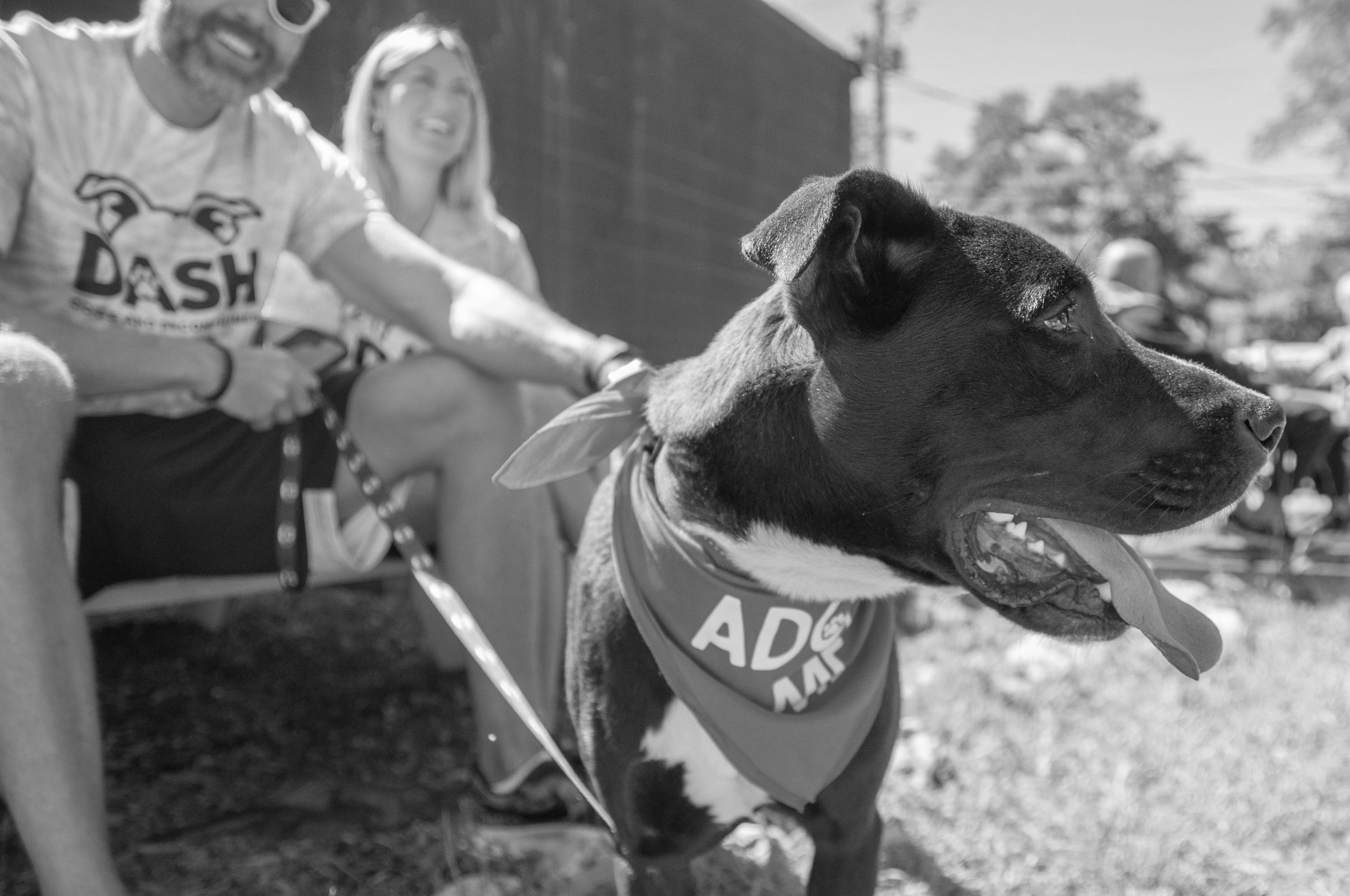Happy dog wearing a red adoption bandana with smiling people in the background.