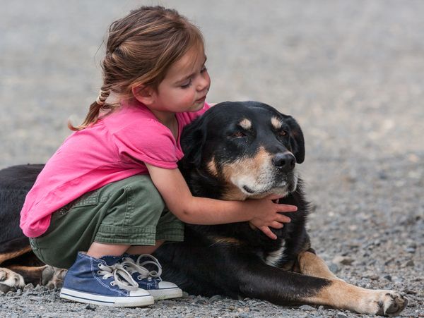 Taken at Chesterfield Farm. The girl will be in her teens now the Dog is likely no longer alive.