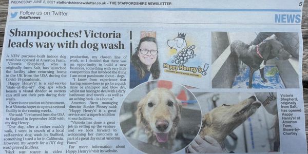 Staffordshire Newsletter article about Happy Henry's! Self-service dog wash, amerton Farm, stafford