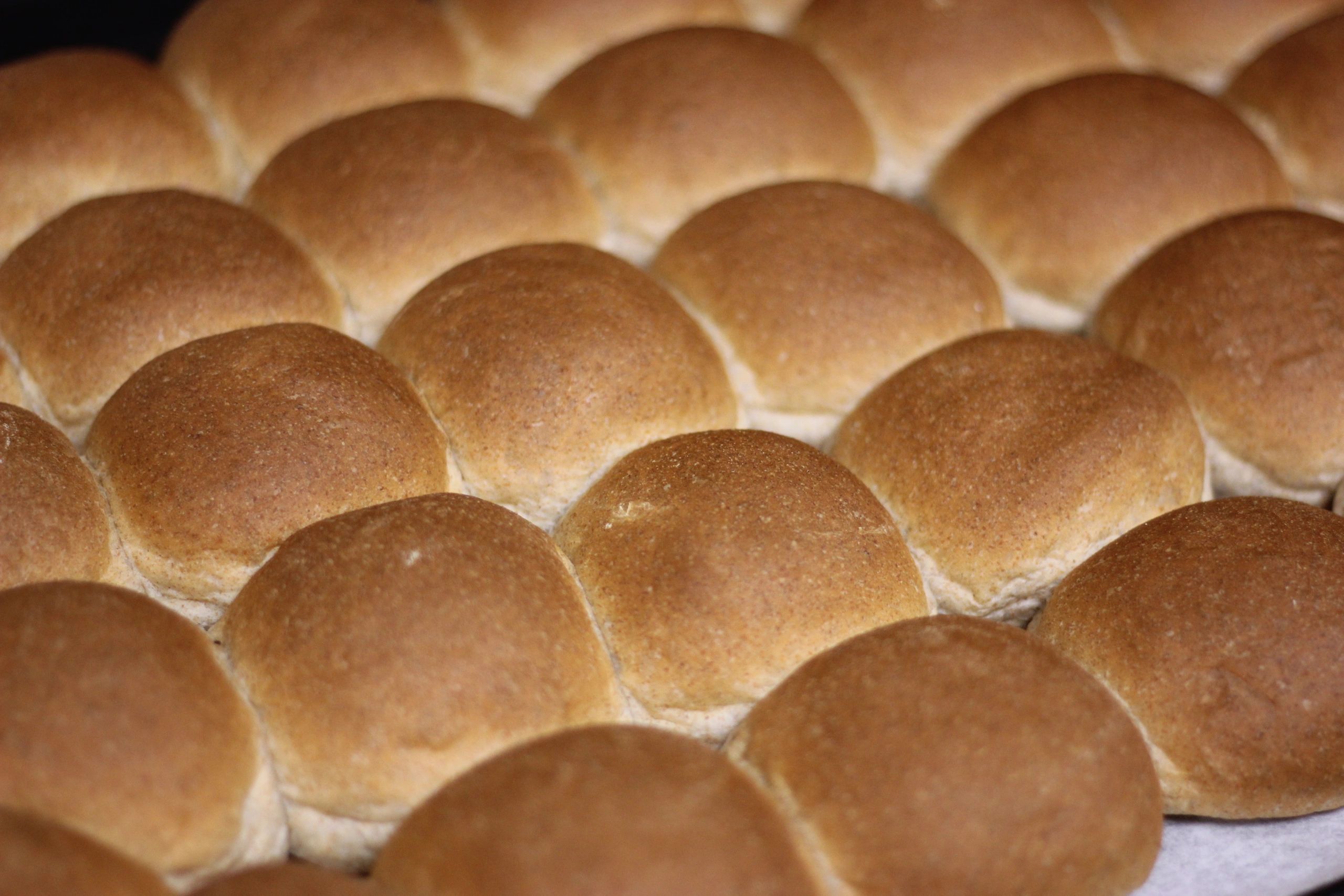 Cold Spring Bakery Bakery Cold Spring, Minnesota