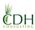 CDH Consulting Solutions Center