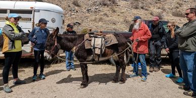 group learning about pack burro racing in georgetown CO