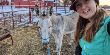 Moon wearing a halter and lead rope