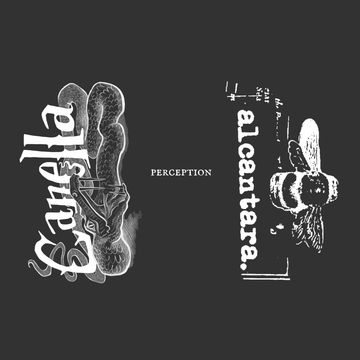 Canella & Alcantara Split - Perception EP