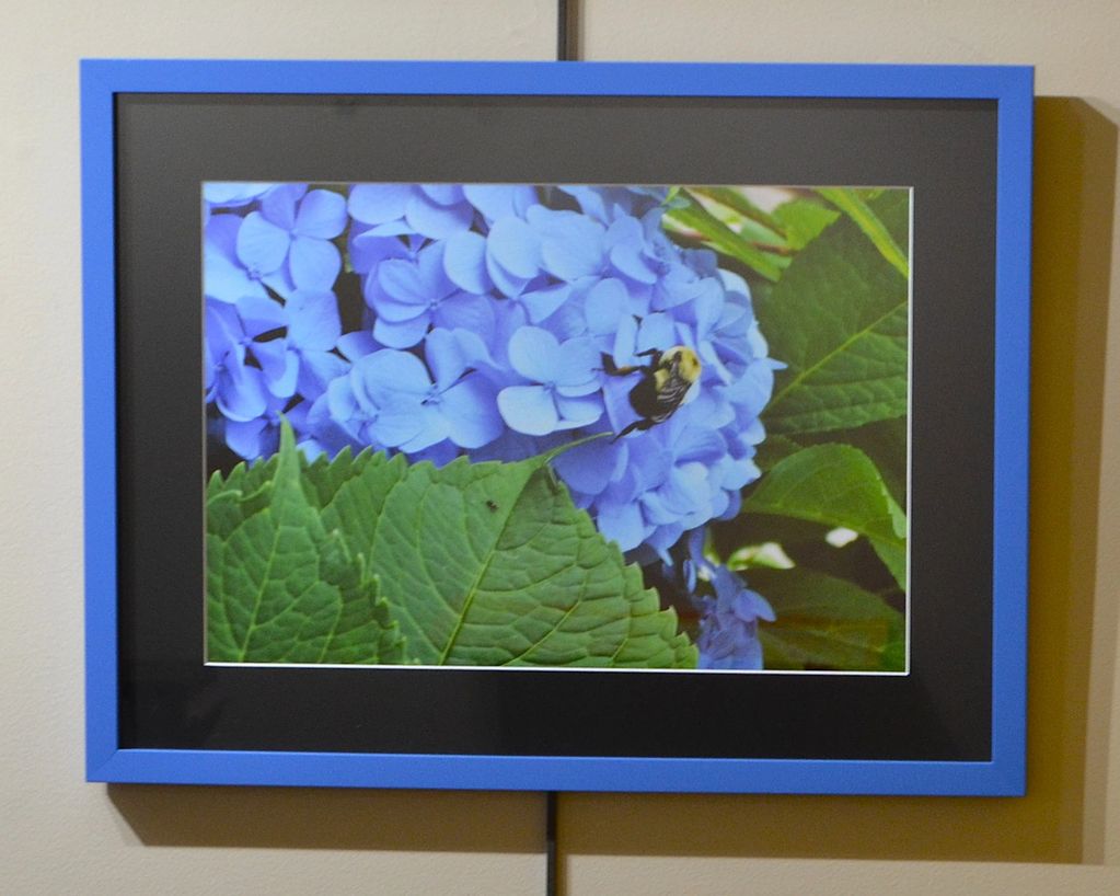 Framed photo of a bumblebee on light purple flowers with green leaves.