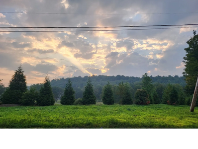 Sun rays peek through clouds over a row of evergreen trees and green grass.