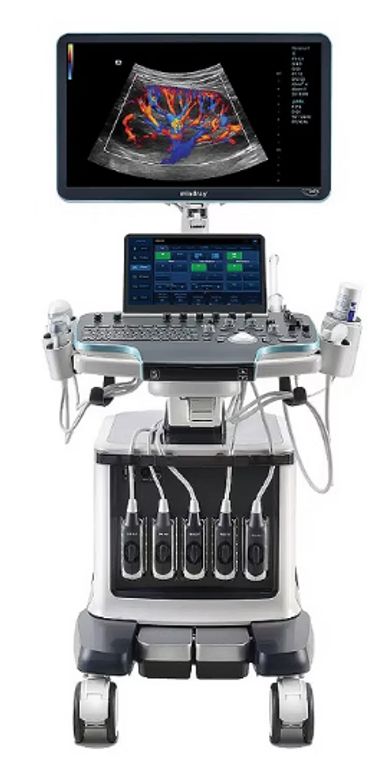 Advanced ultrasound machine with color Doppler imaging on screen.