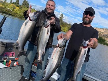 Successful day catching coho salmon at the mouth of the Klickitat River.