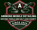 Ammon's Mobile Detailing