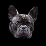 SCHERNER'S FRENCHIE FRENZ
