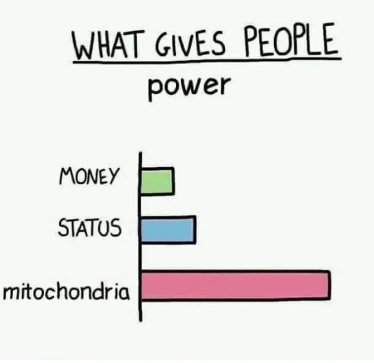 Bar graph showing mitochondria gives the most power.