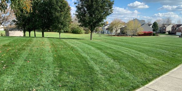 fresh cut lawn grass mowing 