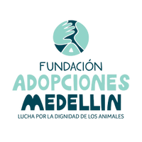 FUNDACION ADOPCIONES MEDELLIN LUCHA POR LA DIGNIDAD DE LOS ANIMAL