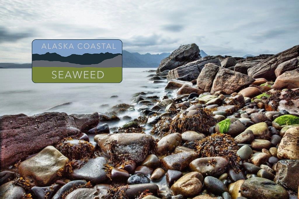 Alaska Coastal Seaweed