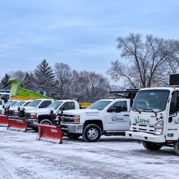 Fleet of snow plow trucks lined up on snowy ground.