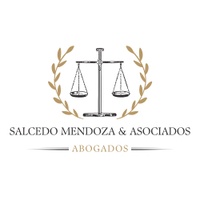Salcedo Mendoza y Asociados