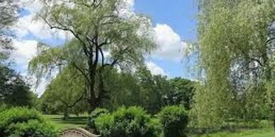 A visit to Francis William Bird Park is a detour into nature in pursuit of play, no matter your age. 