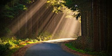 Follow the soul’s journey along a sunlit, sacred path.