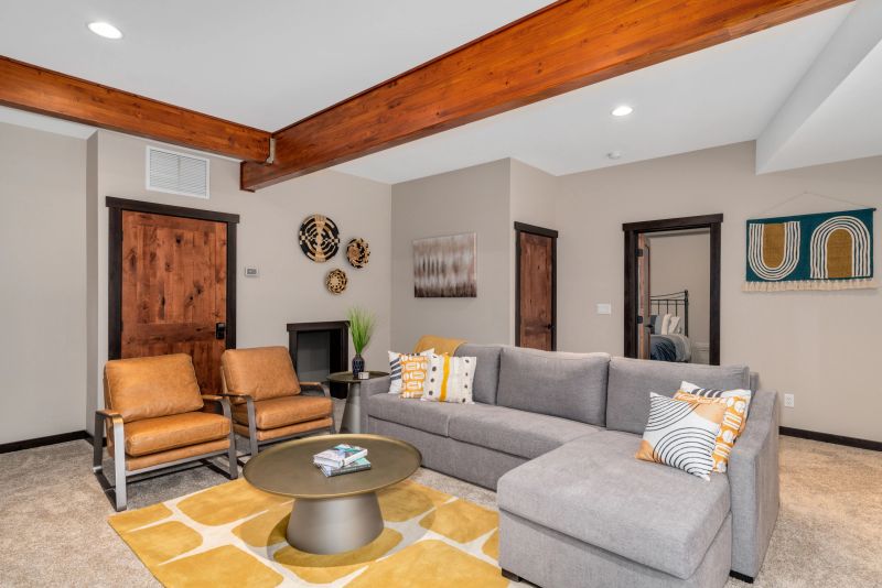 Basement living room with pull out couch