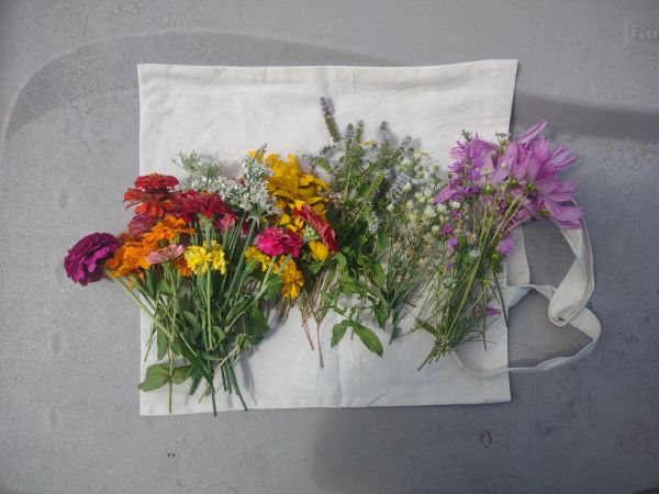 Colorful flowers arranged on a white cloth against a gray background.