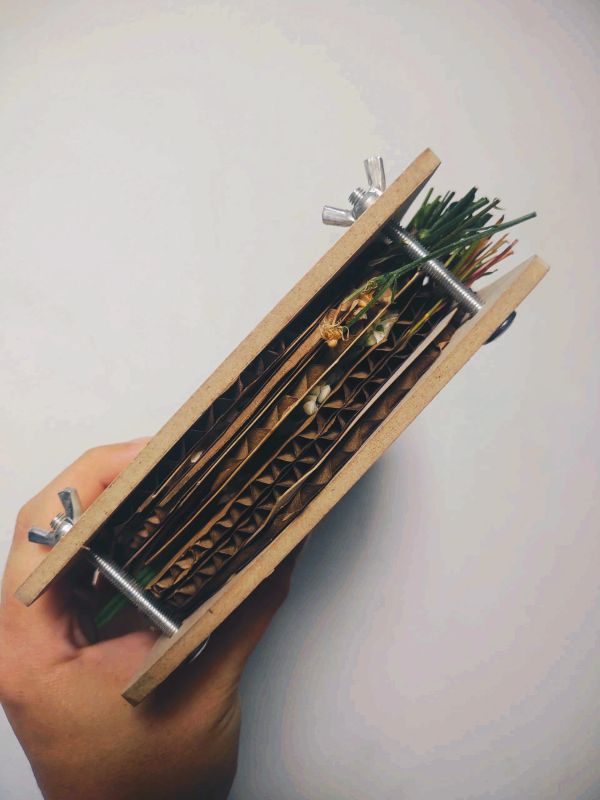 Herb press with dried leaves inside.