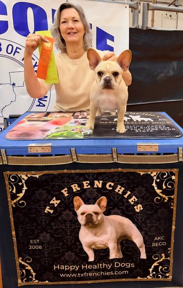 Woman proudly shows ribbons with a French Bulldog at a dog show booth.