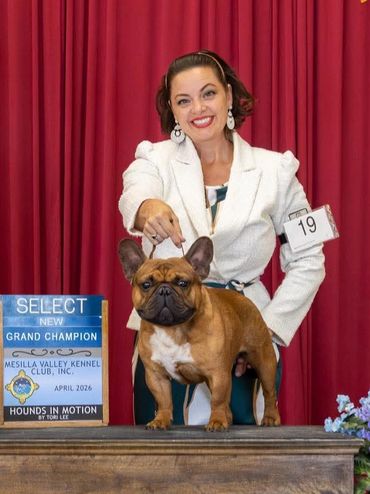 Woman proudly presenting a French Bulldog champion at a dog show.