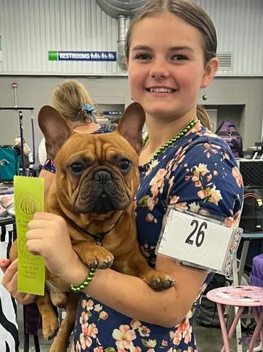 Young girl holding a French Bulldog at a dog show, smiling with a ribbon award.