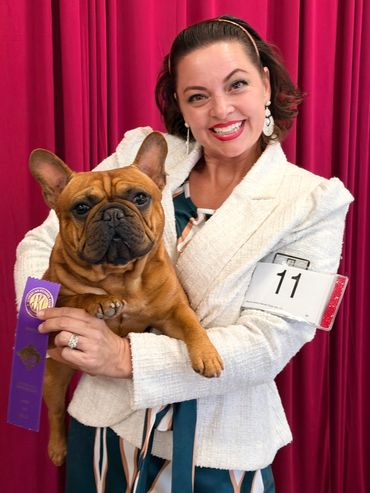 Woman proudly holding a French Bulldog with a purple ribbon in front of a red curtain.