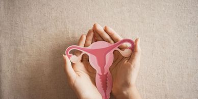 Hands holding a uterus and ovaries diagram cut out