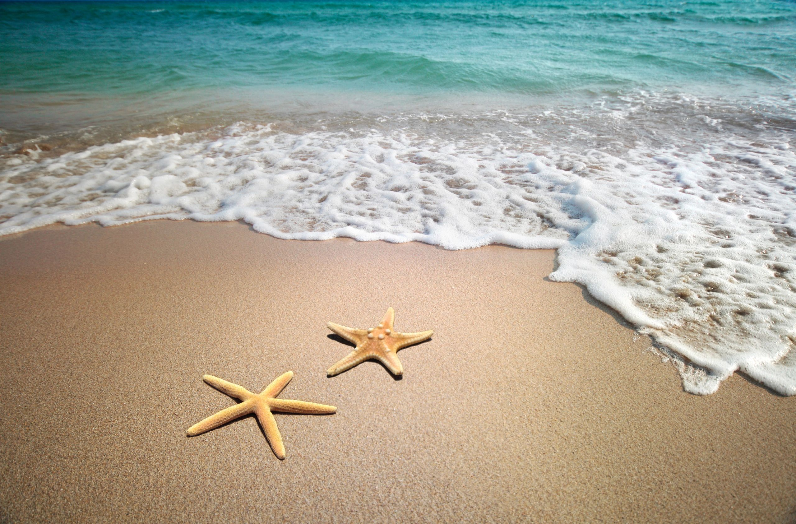 The starfish story | XOXO, God