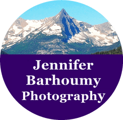 Jennifer Barhoumy