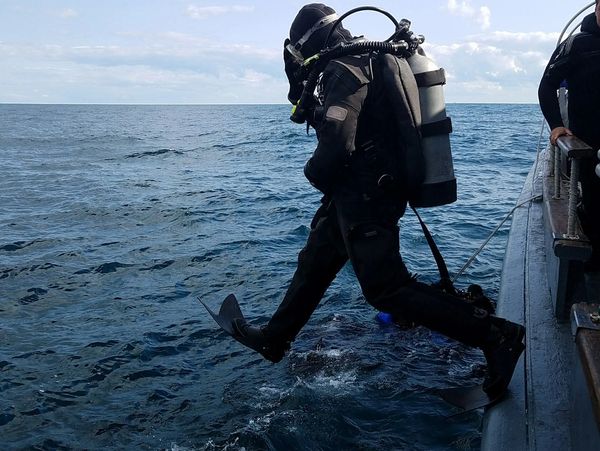 Diver is jumping to the water from the board of the ship