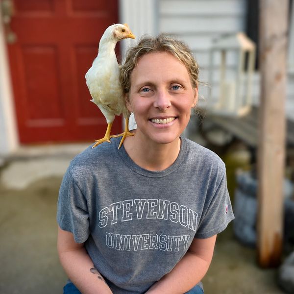 Melanie Bickings and Adam Britton, owners of Britton Farm