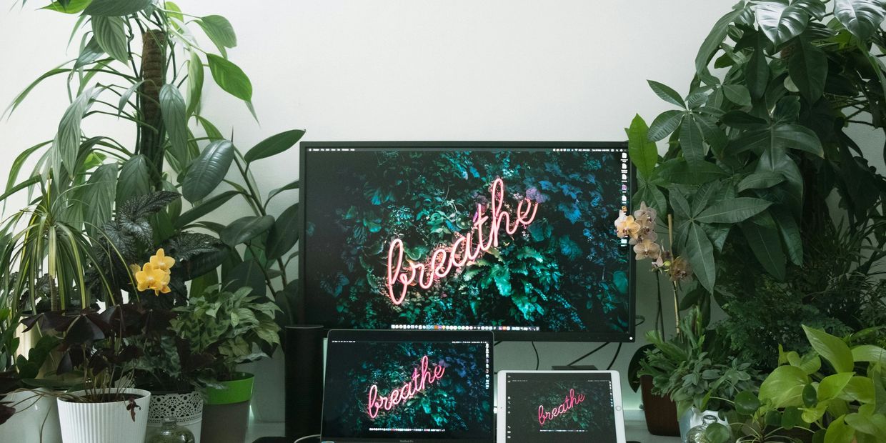 A workspace surrounded by lush green plants with screens displaying the word 'breathe'.