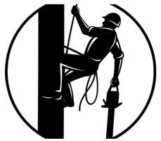 Tri-State Tree Service 